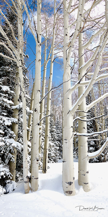 Ethereal_2_to_1_pano_et4xro