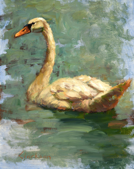 Mute_swan_150_ppi_for_asf_bi4t2u