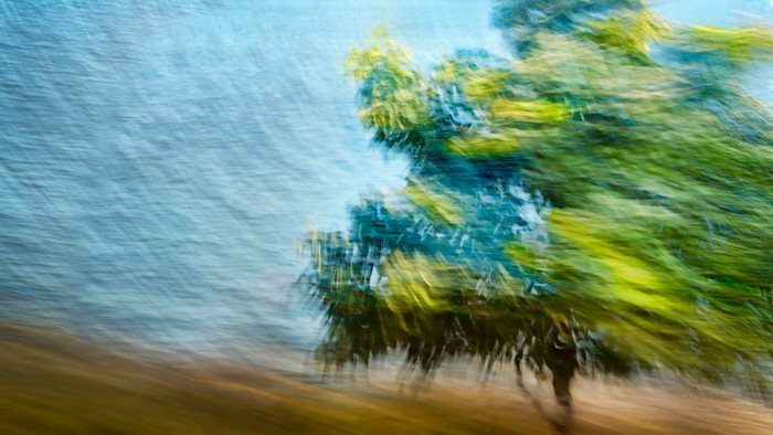 Kj_west-wind-web_hsygmb