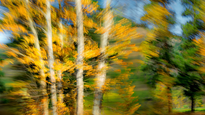 Ppc3422-web_yiiy5c