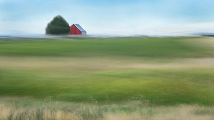 172_pastures_molo0z