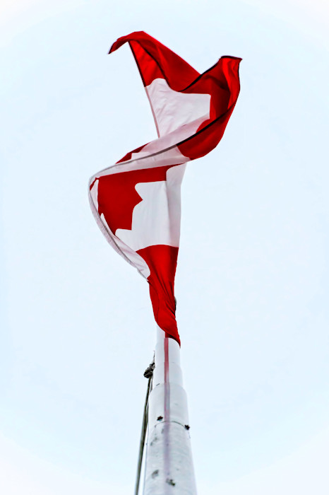 82_projects_charles_pachter_yvt7kf