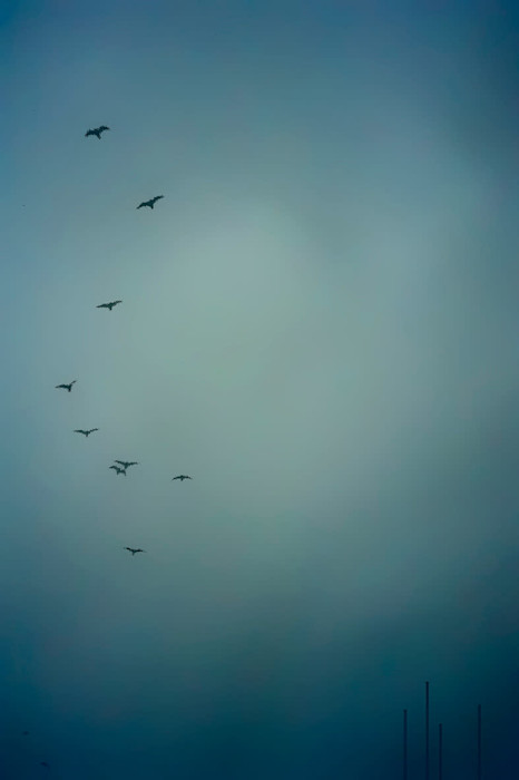 122_pictorial_at_the_docks_pinhole_hqloro
