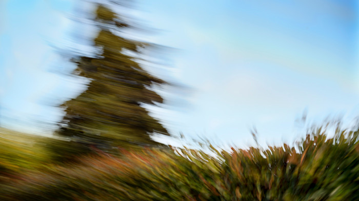 Cap2423web_yqsqfo