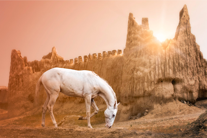 Turkmen_sunrise_web_wefdcx