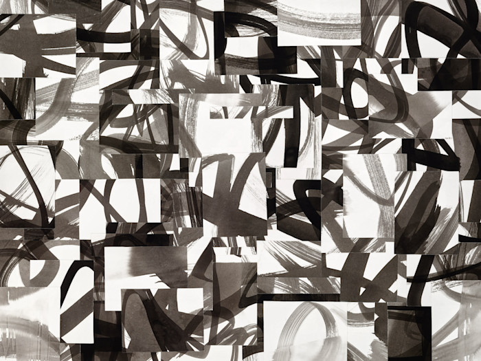Thicket_oydwrd