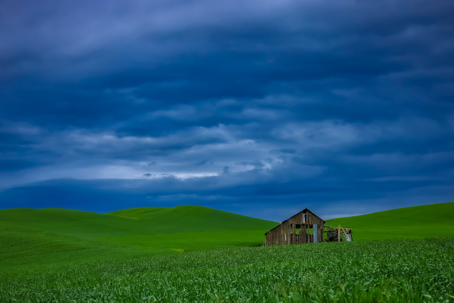 Lloyd (Tom) Weisbrook   Palouse 0264a