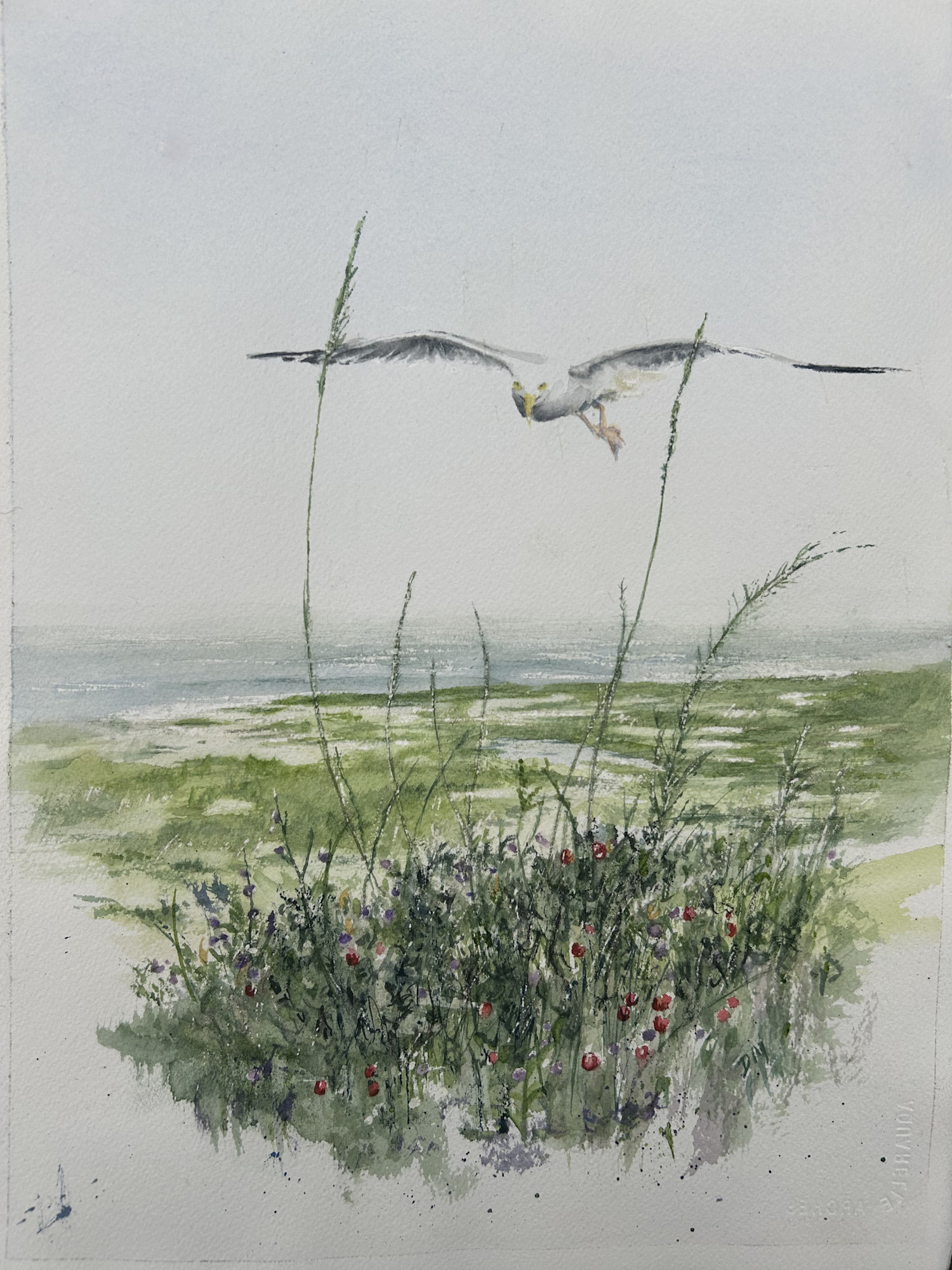 Dave MacAdam Light House Beach Cc (1)
