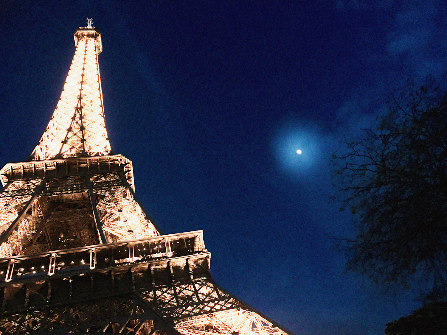 Eiffel Tower 300dpi with grain Kelly Chippendale (1)