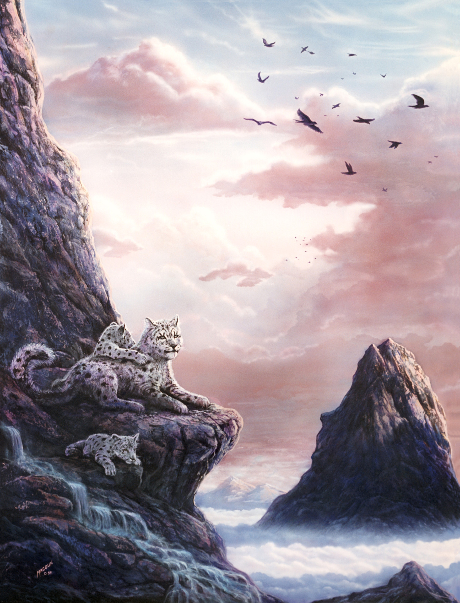Upper Realms1 Leopards