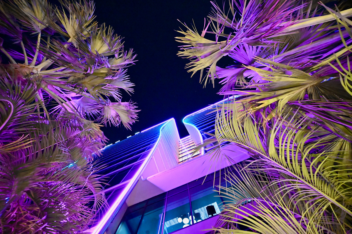 DSC 0518