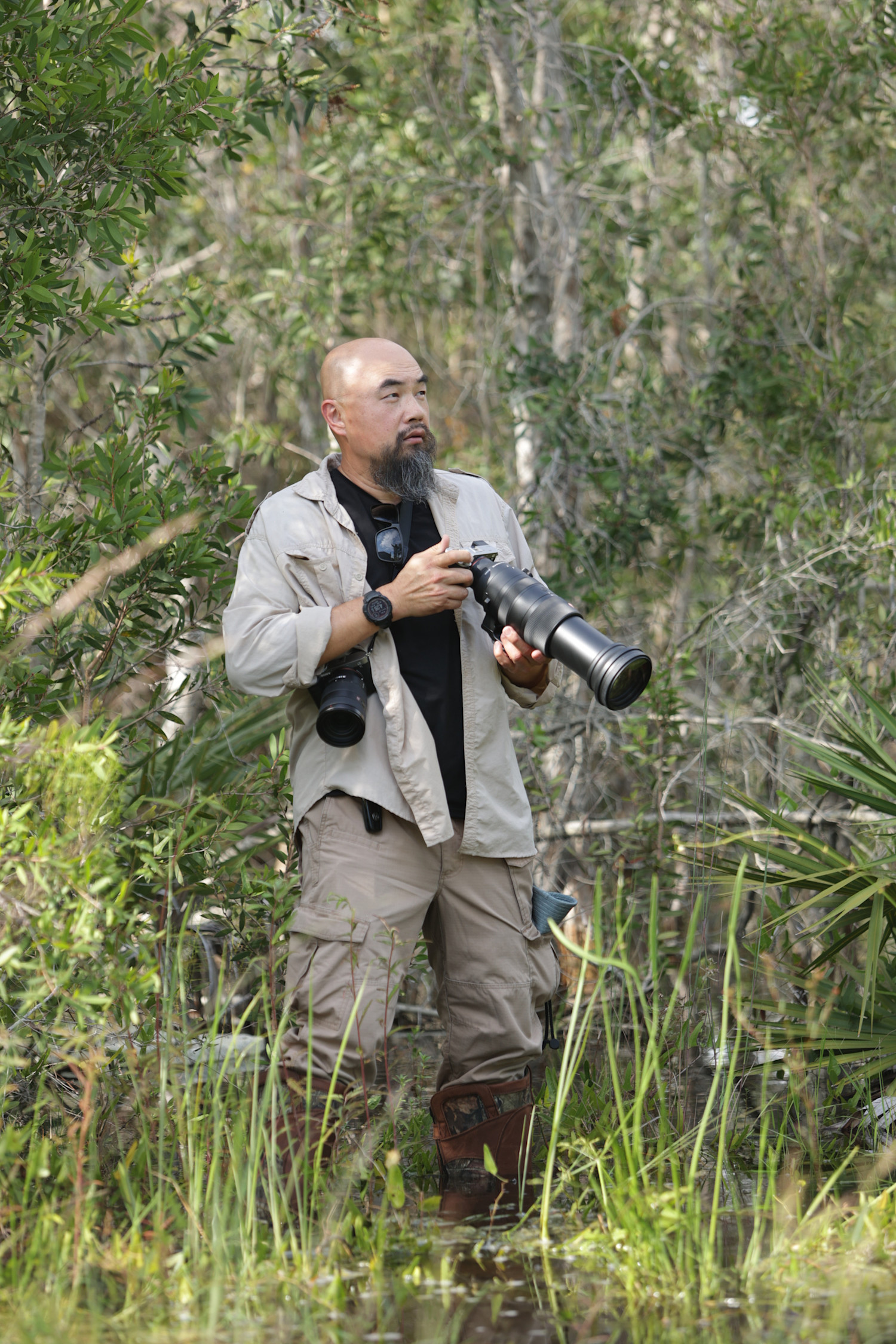 Watson Looking In Swamp