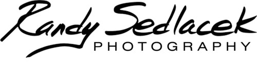 Professional Photo Services