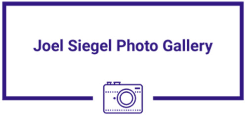 About The Artist Joel Siegel