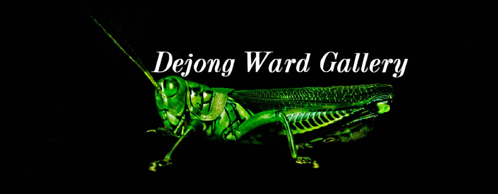DeJong Ward Gallery
