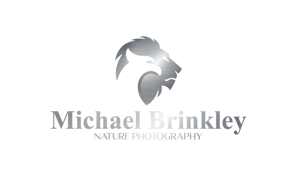 Michael Brinkley