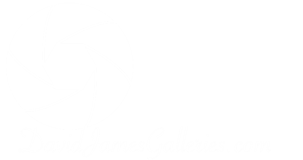 davidjamesgalleries