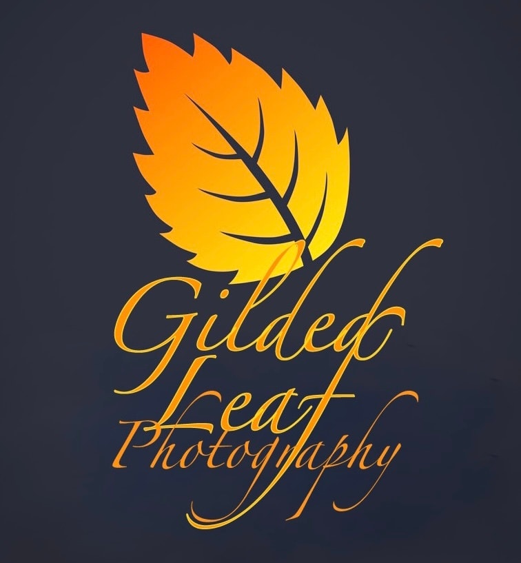 Gilded Leaf Photography