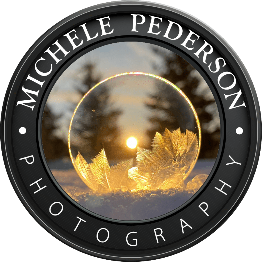 Shop Photography Art michelepederson