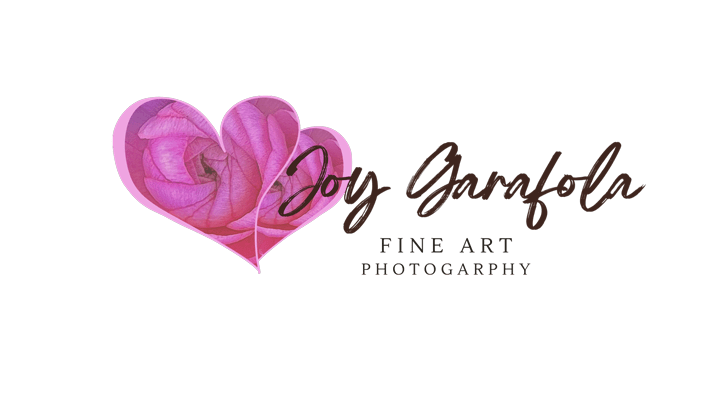 joygarafolafineart