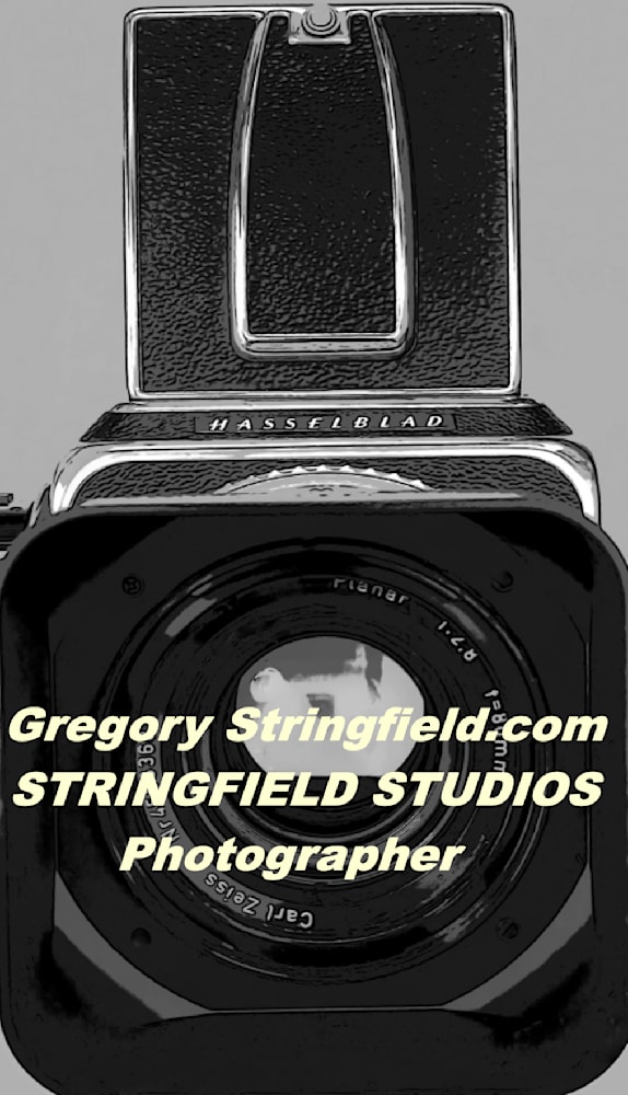 GREGORY STRINGFIELD / STRINGFIELD STUDIOS-Photography
