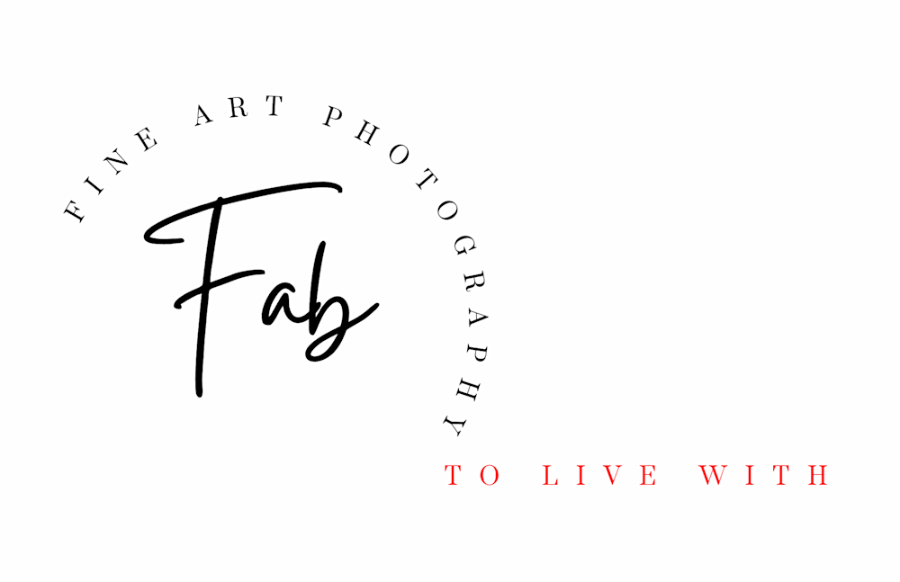 Fab Art Gallery