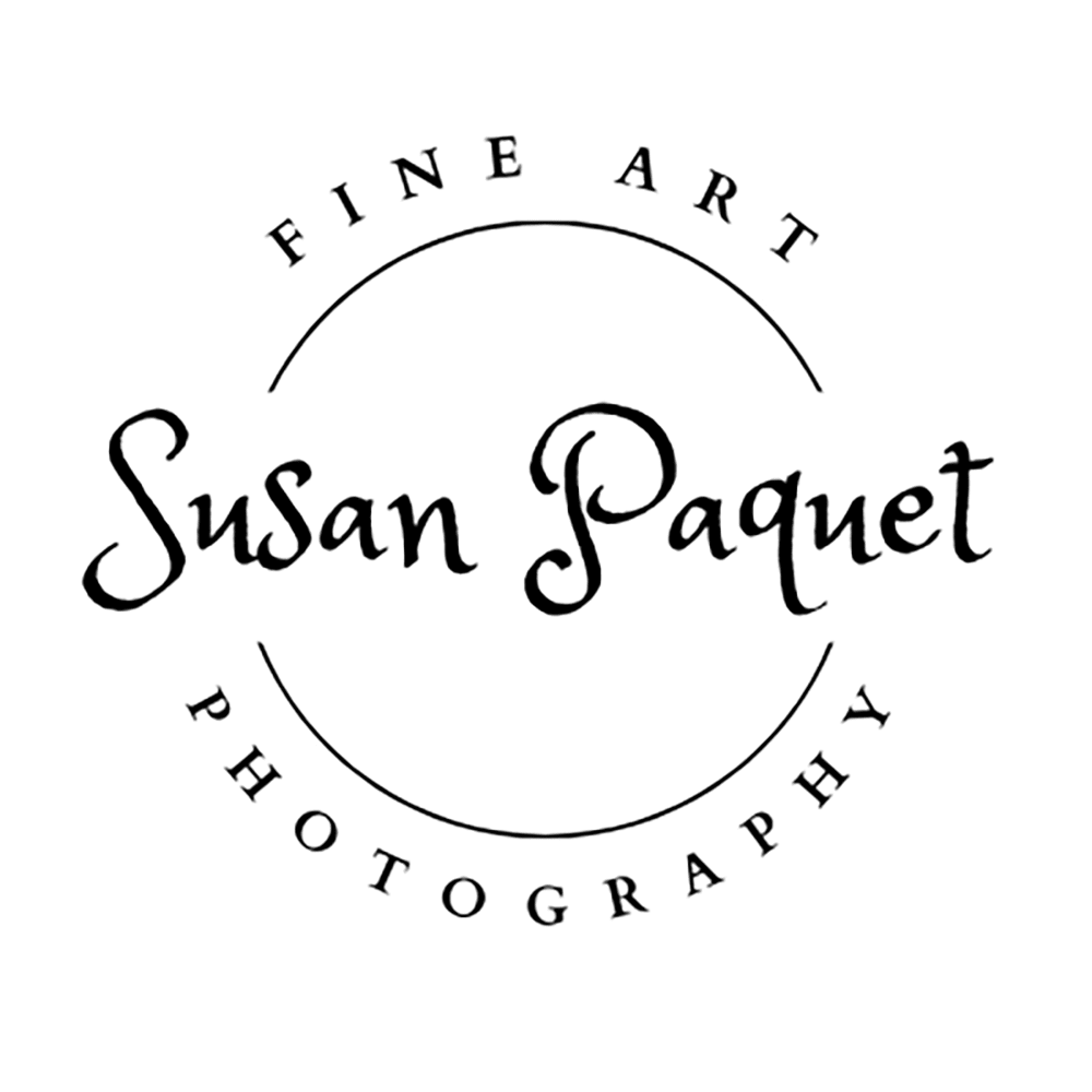  Susan Paquet Fine Art