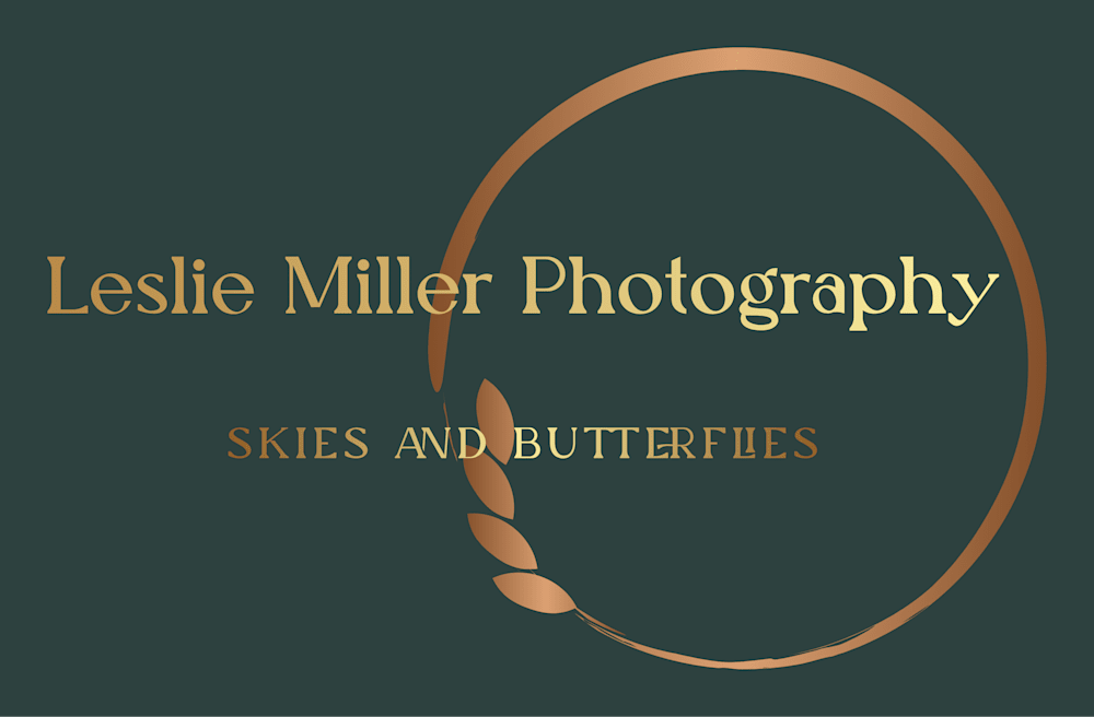 Leslie Miller Photography