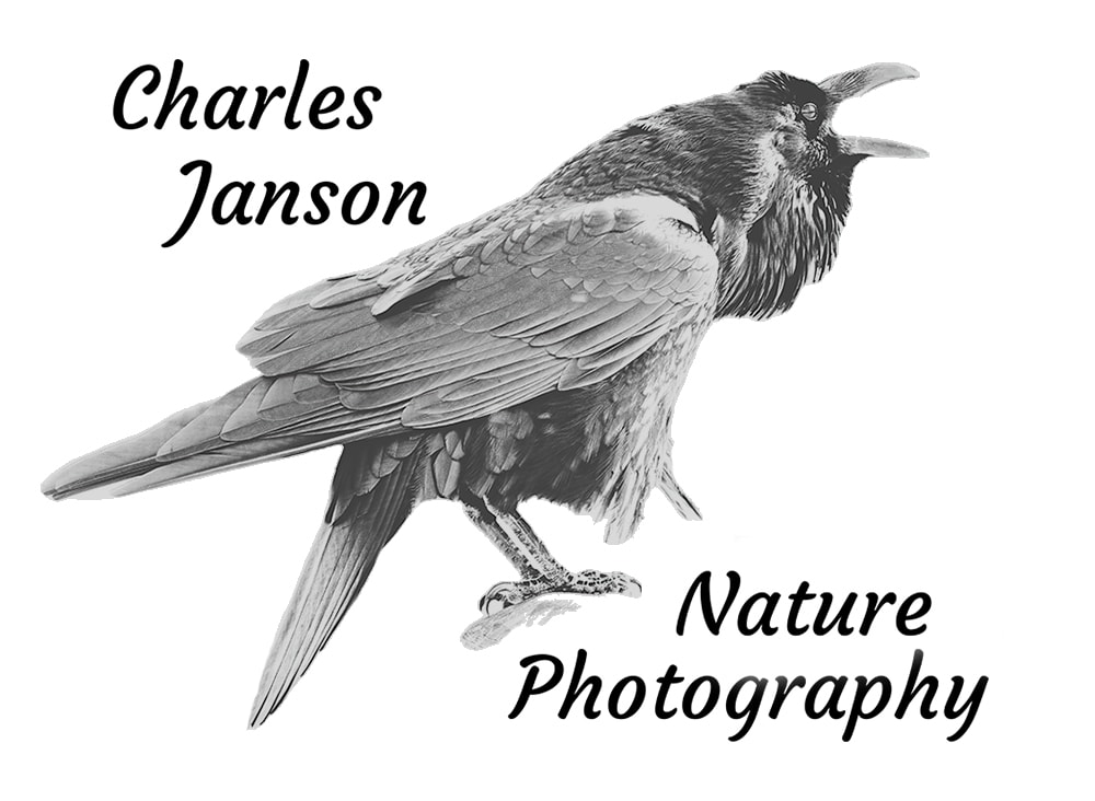 Moms and kids Photography Art Charles Janson Nature Photography