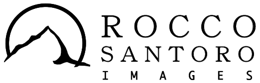 ROCCO SANTORO GALLERIES