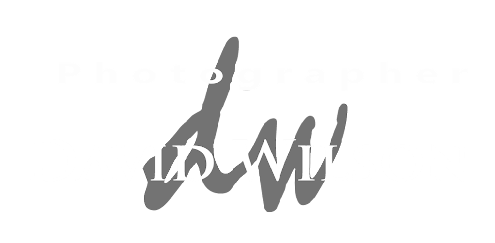 Photographer David Wilson