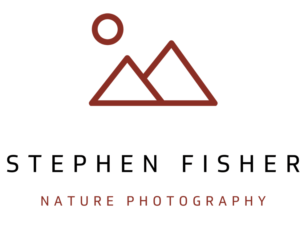 Stephen Fisher Photography