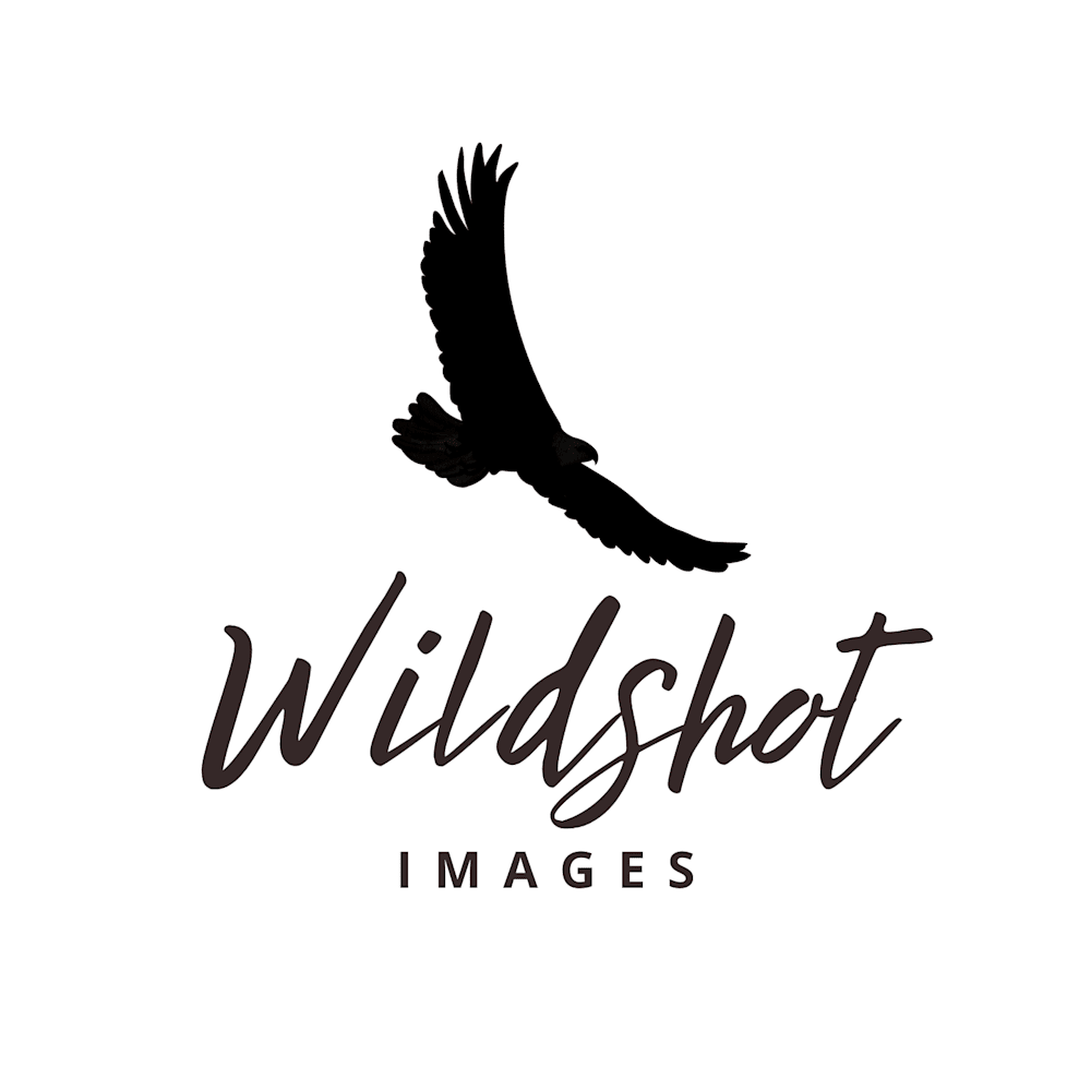 WildShot Images