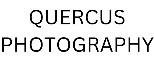 quercusphotography