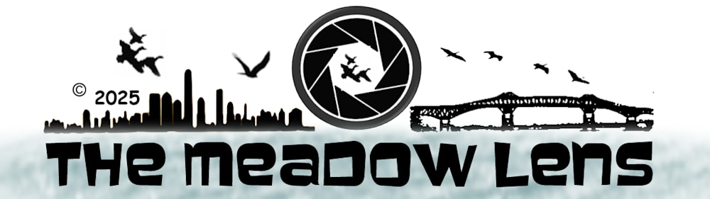 The Meadow Lens