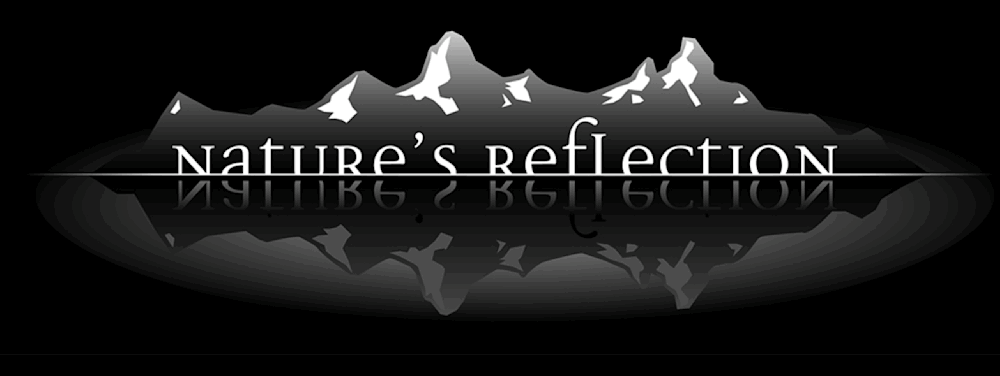 Nature's Reflection Photography