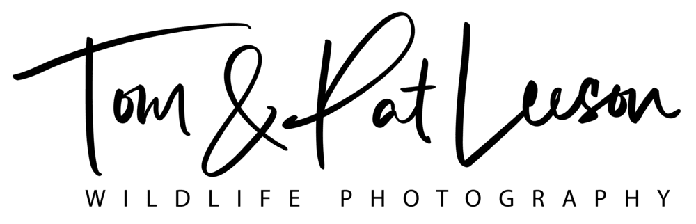 Fovwyb6ntlprbdclonhu