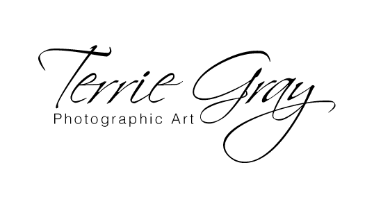 Terrie Gray Photography