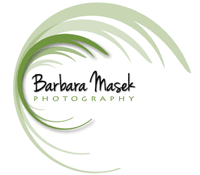Barbara Masek Photography