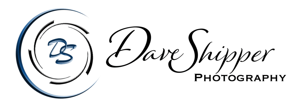 dmsfoto