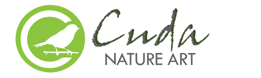 Matt Cuda Nature Photography