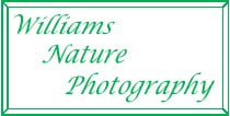 jeffwilliams
