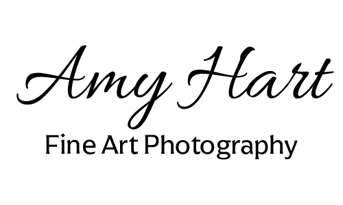 Amy Hart~Fine Art