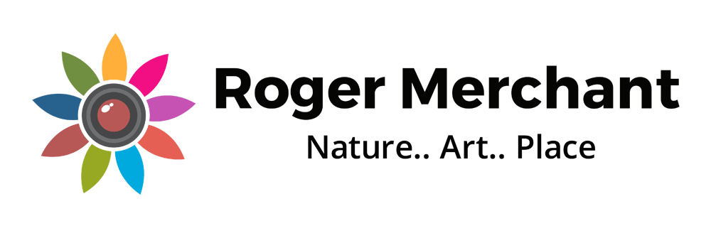 Roger Merchant