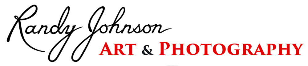 Randy Johnson's photography website uses a dead bird as its logo