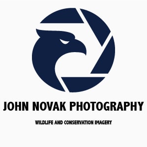 John Novak Photography