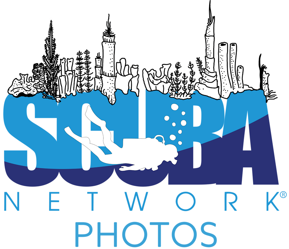 Scuba Network Photos