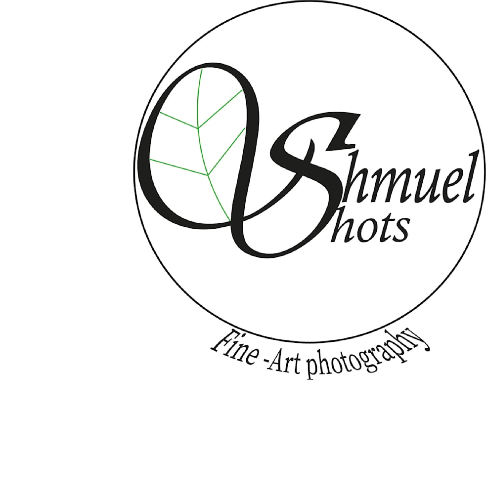 shmuelshots