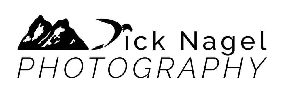 Dick Nagel Photography