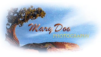 Mary Doo Photography